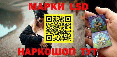 тгк Шебекино