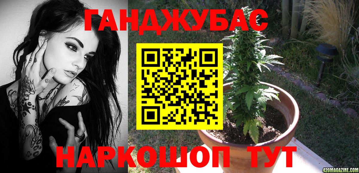 Бошки Шишки план Сибай